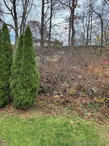 a view of a yard with plants and trees