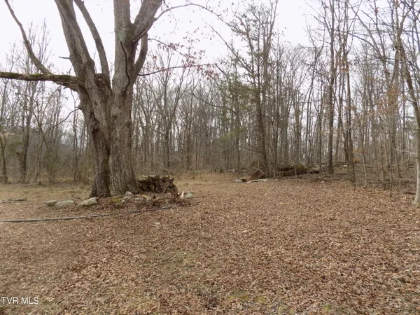 $749,000 | 185 Lovin Road, Rogersville, TN 37857