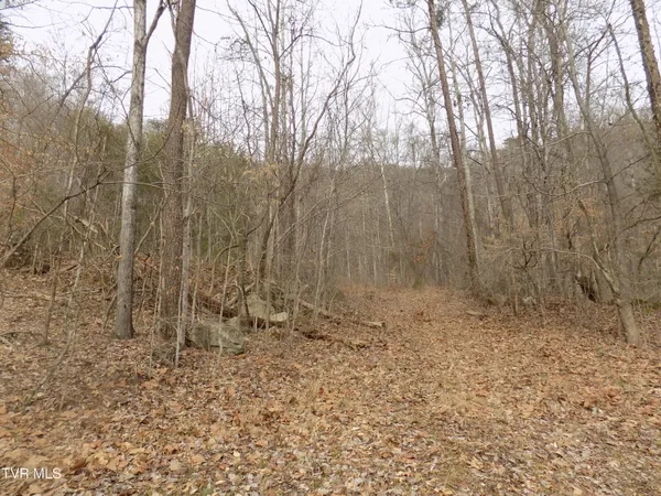 $749,000 | 185 Lovin Road, Rogersville, TN 37857