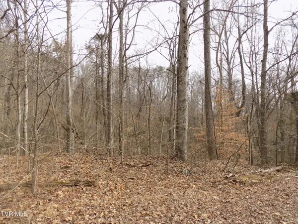 $749,000 | 185 Lovin Road, Rogersville, TN 37857