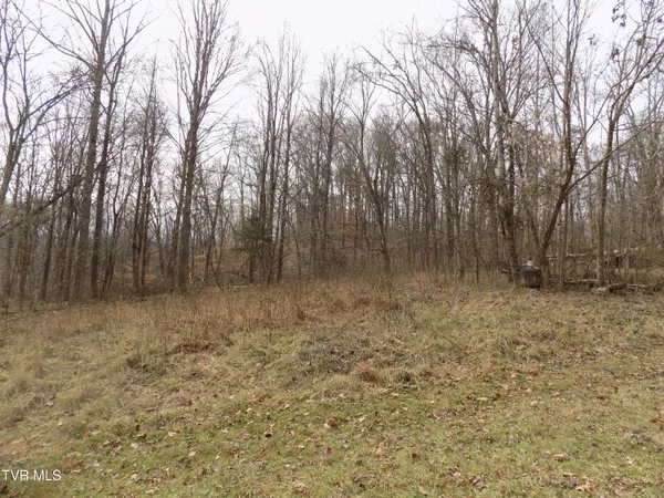 $749,000 | 185 Lovin Road, Rogersville, TN 37857