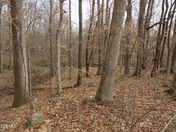 $749,000 | 185 Lovin Road, Rogersville, TN 37857