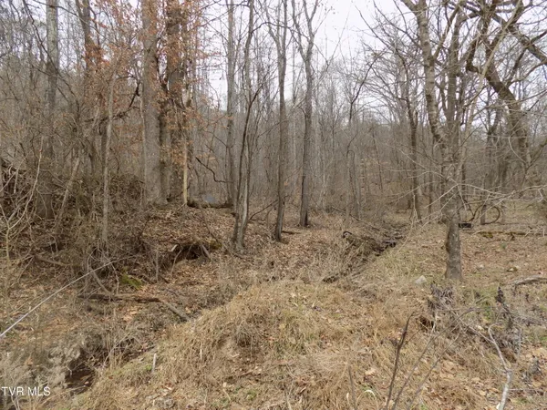 $749,000 | 185 Lovin Road, Rogersville, TN 37857