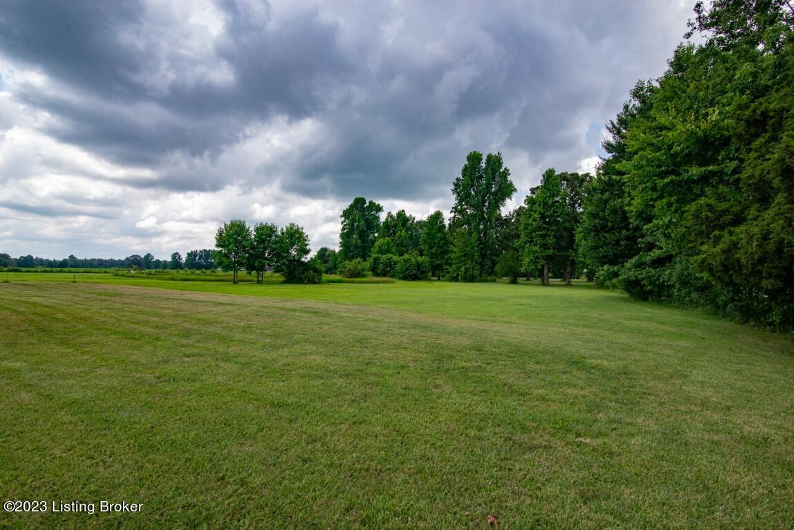 11981 Elizabethtown Road Big Clifty, KY 42712 - Photo 28 of 30 11981 Etown Rd-49