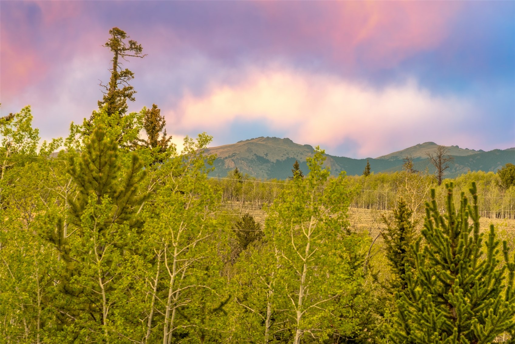 847 Palomino Road Como, CO 80456 - Photo 48 of 50