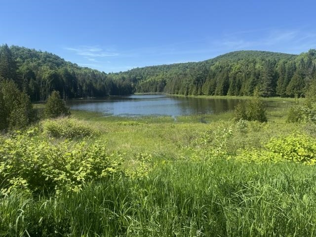 3491 County Road Albany, VT 05875 - Photo 6 of 44