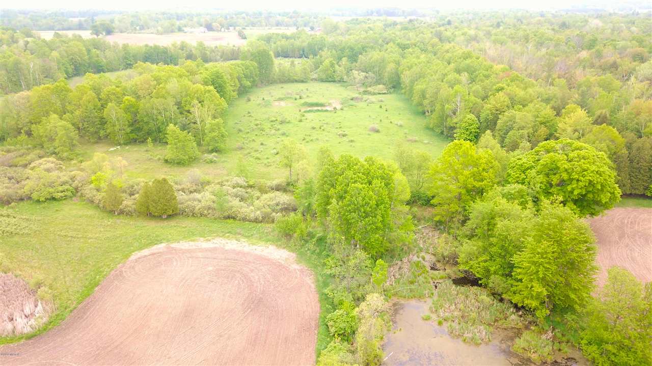 Tbd 7 Mile (86.47 Acres) Road Remus, MI 49340 - Photo 19 of 29