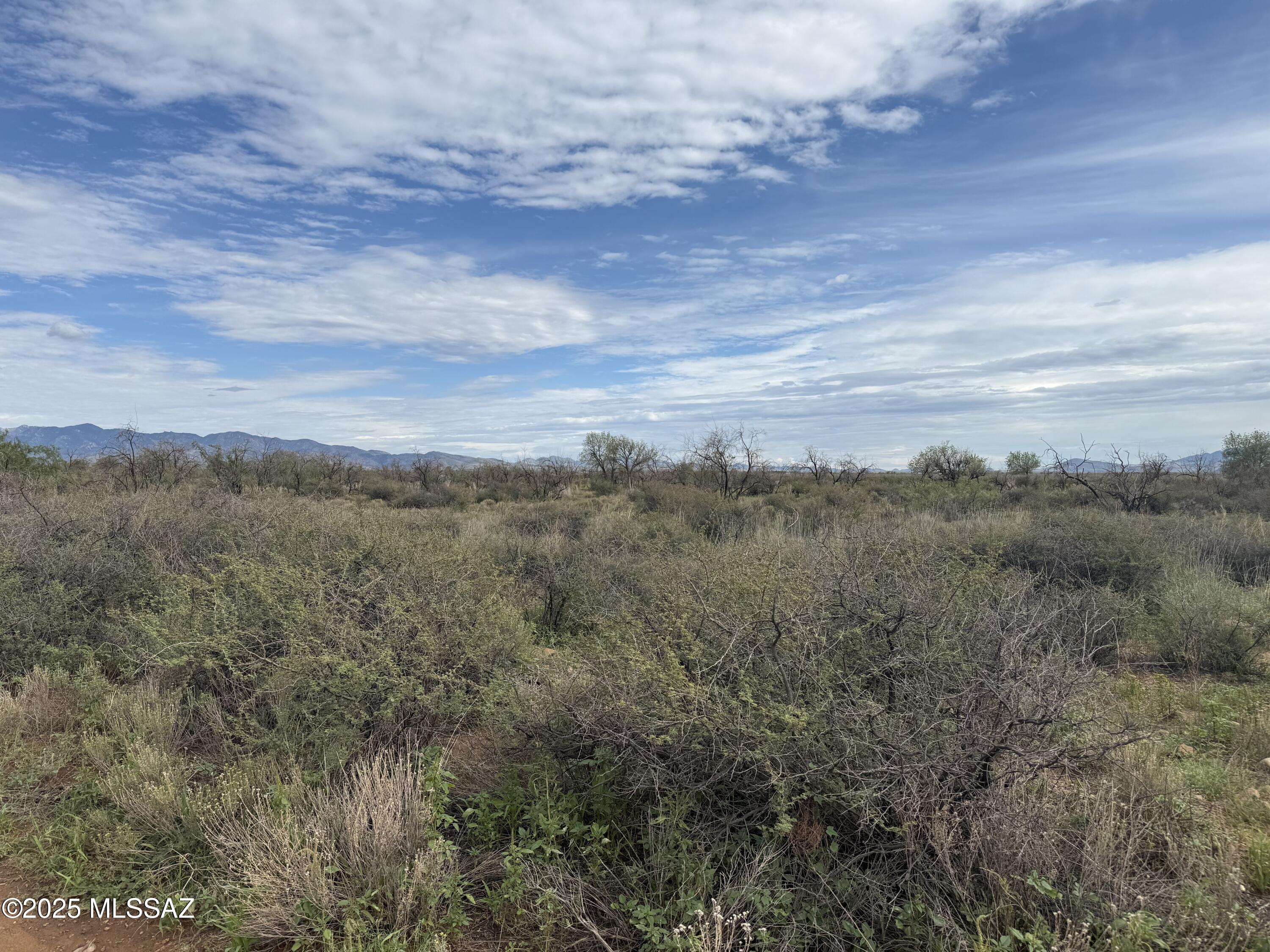 0 Az Cochise Pearce, AZ 85625 - Photo 4 of 8 Gallery Image 4