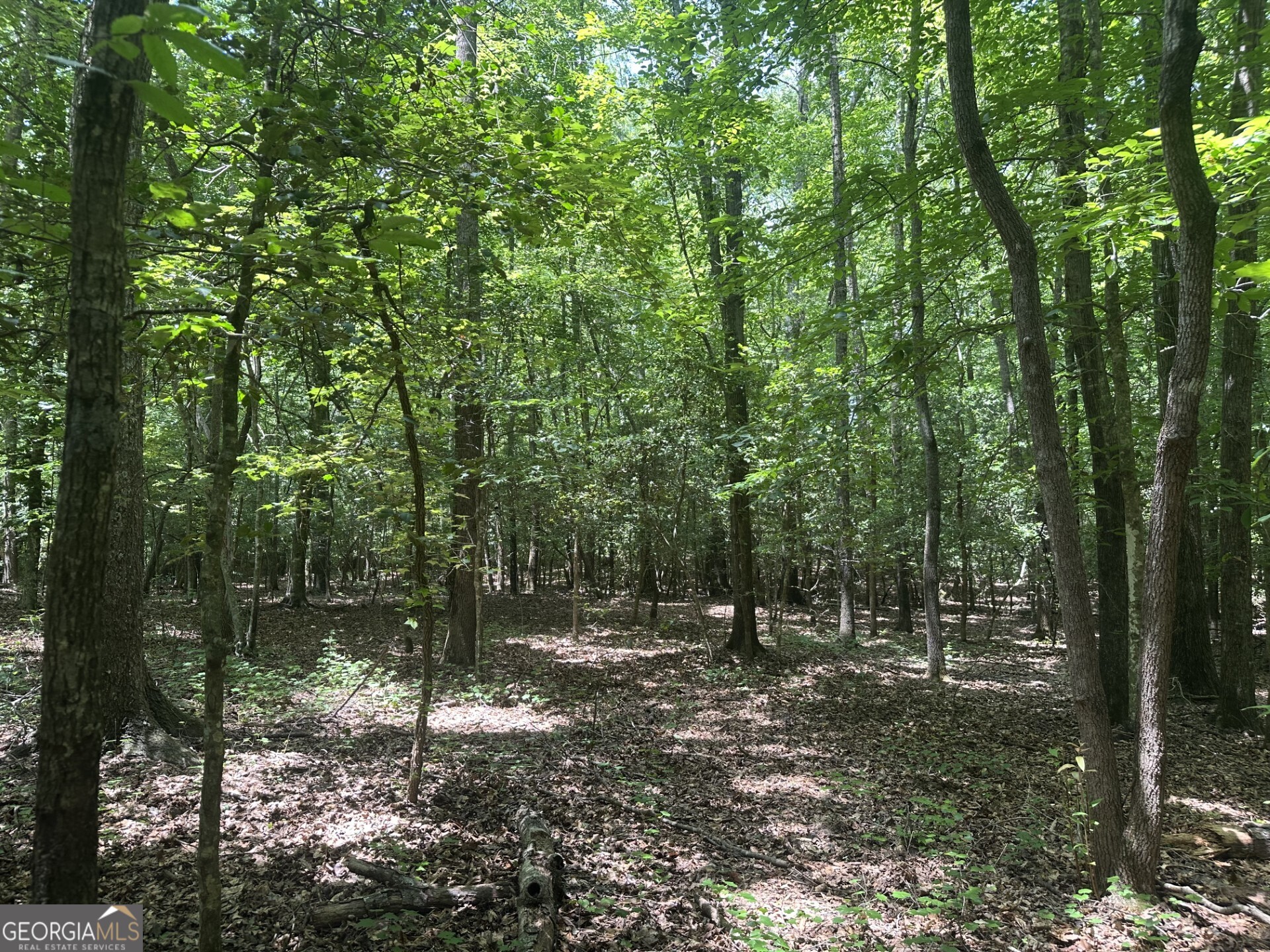 2200 Duffell Martin Road Comer, GA 30629 - Photo 16 of 21