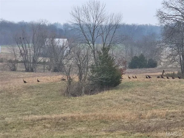 $849,000 | 97 Pcr 522, Perryville, MO 63775