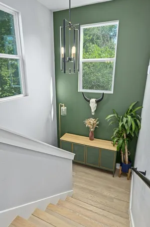 a view of a room with wooden floor and a potted plant