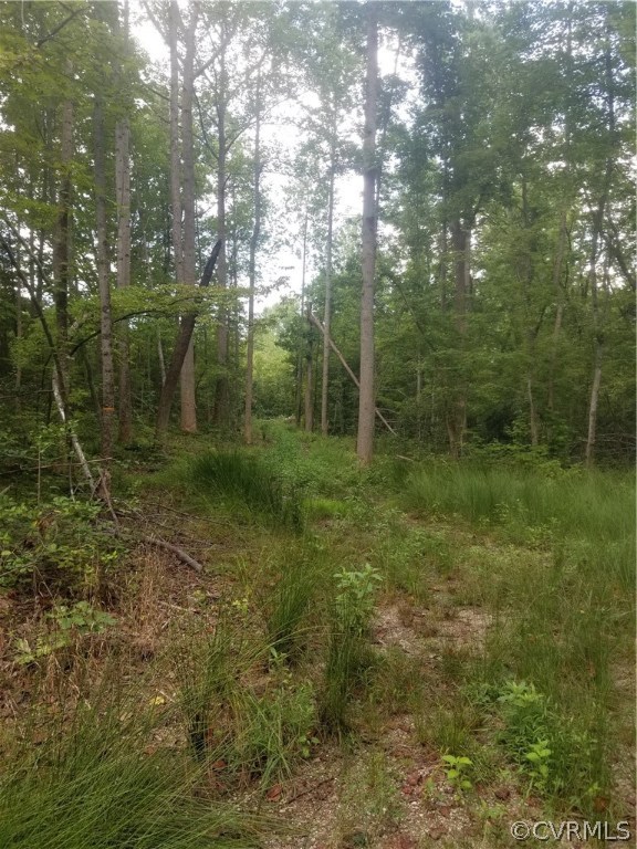 0 Chapel Hill Road Sandy Hook, VA 23153 - Photo 2 of 8