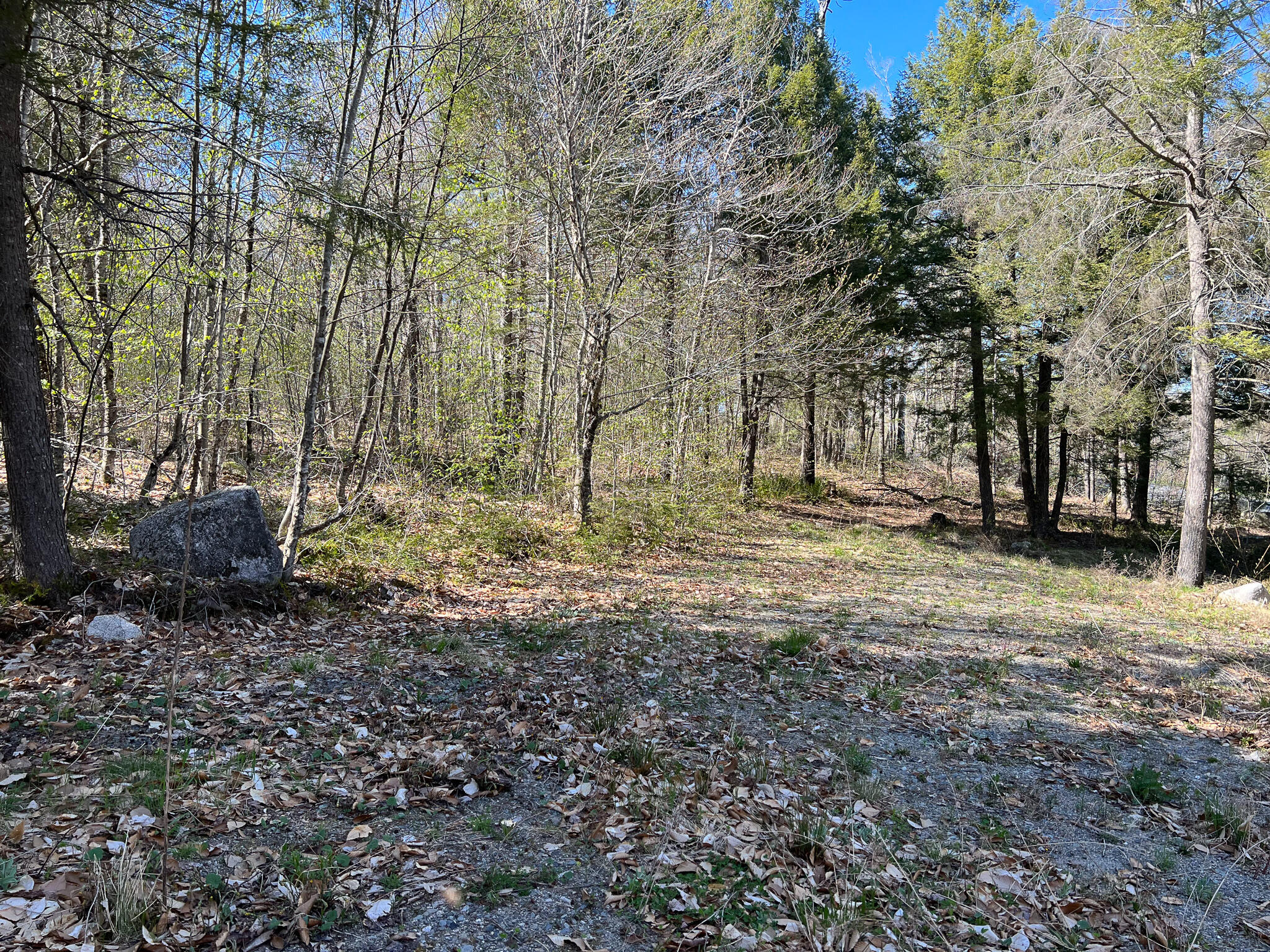 775 Transalpine Road Lincoln, ME 04457 - Photo 11 of 12 IMG_5781