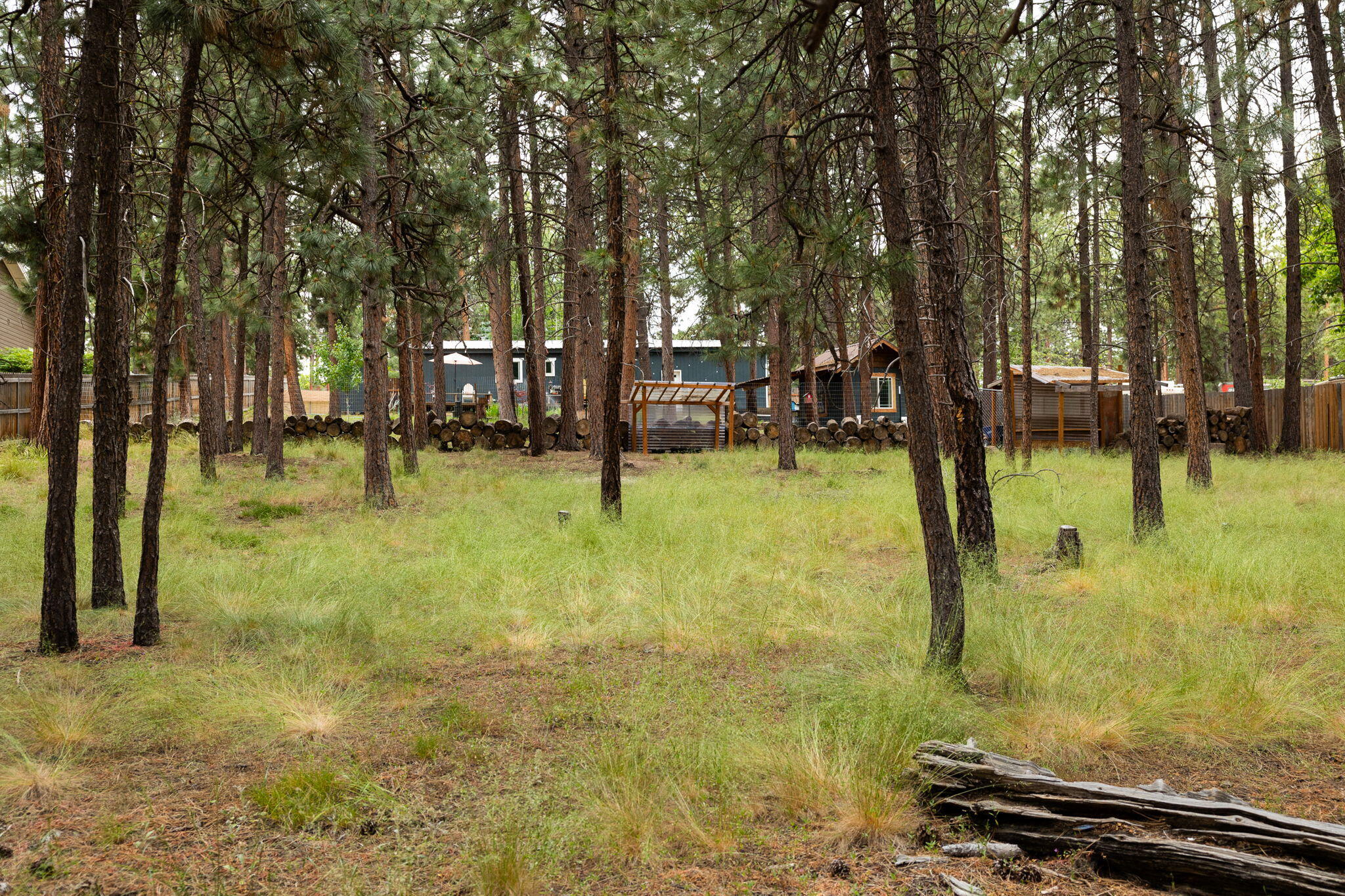 60206 Crater Road Bend, OR 97702 - Photo 32 of 34 60206 Crater Rd (28 of 31)