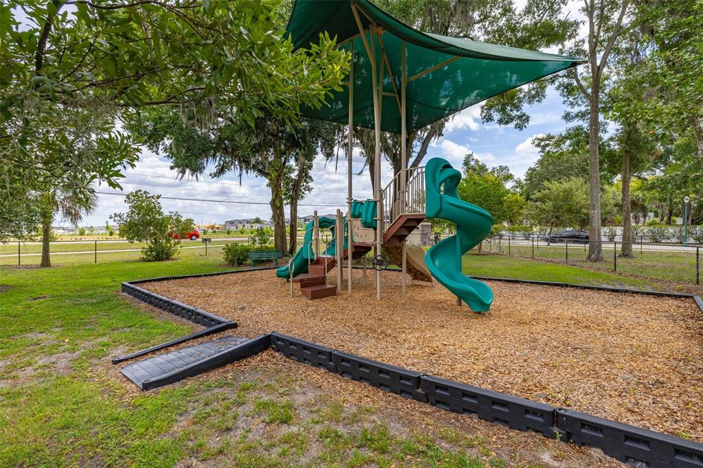 367 August Fern Loop Mount Dora, FL 32757 - Photo 53 of 90