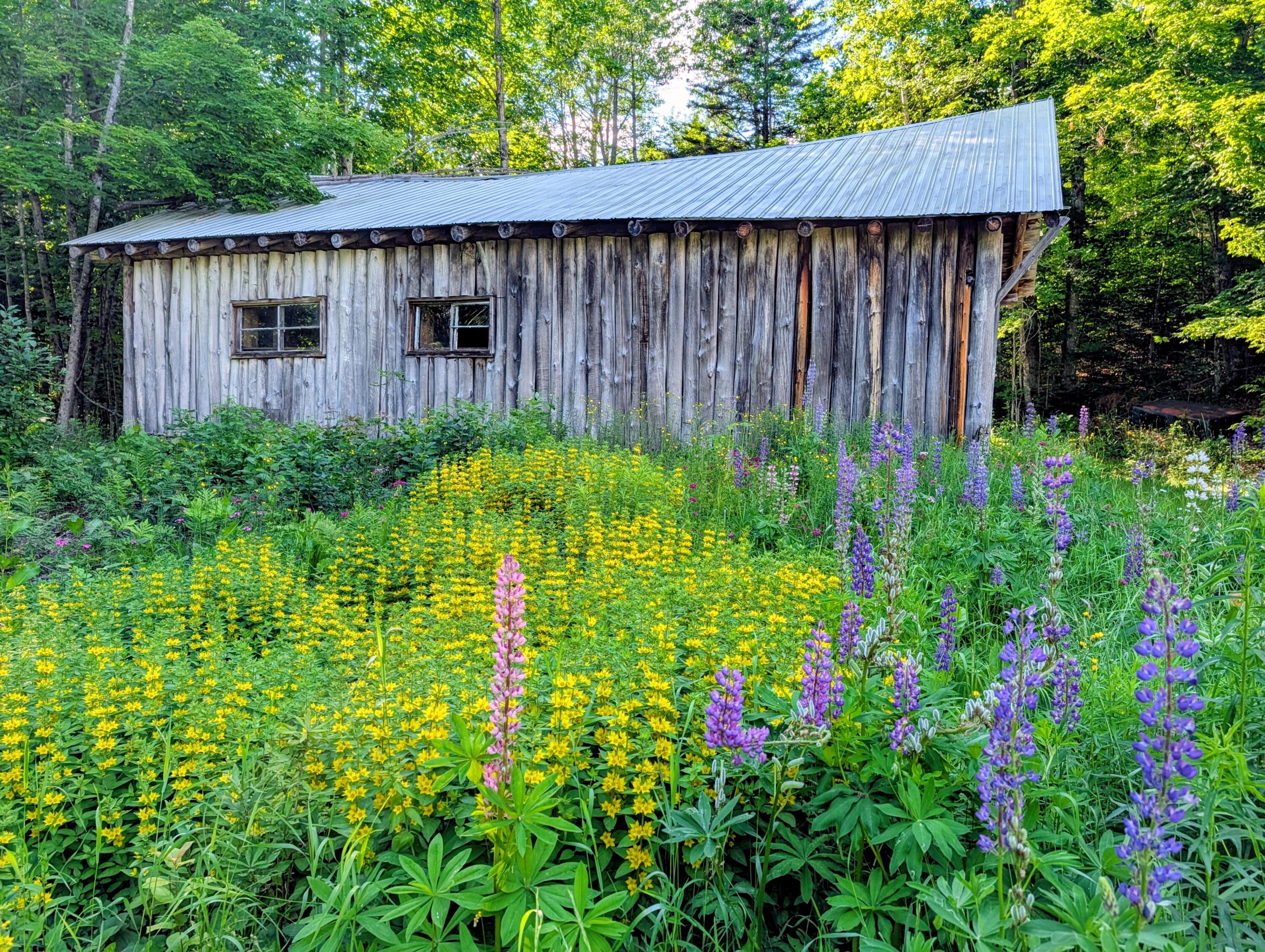 147 Calvin Gray Road Madrid Township, ME 04966 - Photo 40 of 68 147 Calvin Gray Road