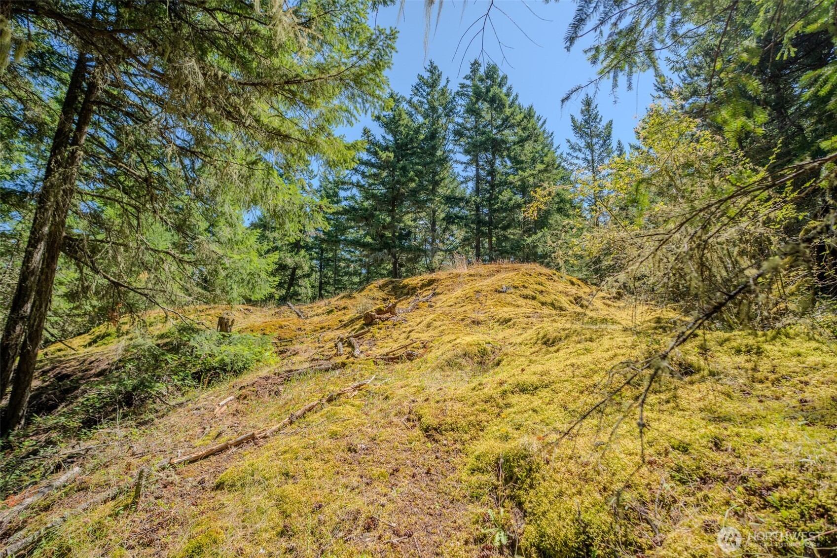 678 Swan Road Orcas Island, WA 98245 - Photo 19 of 39