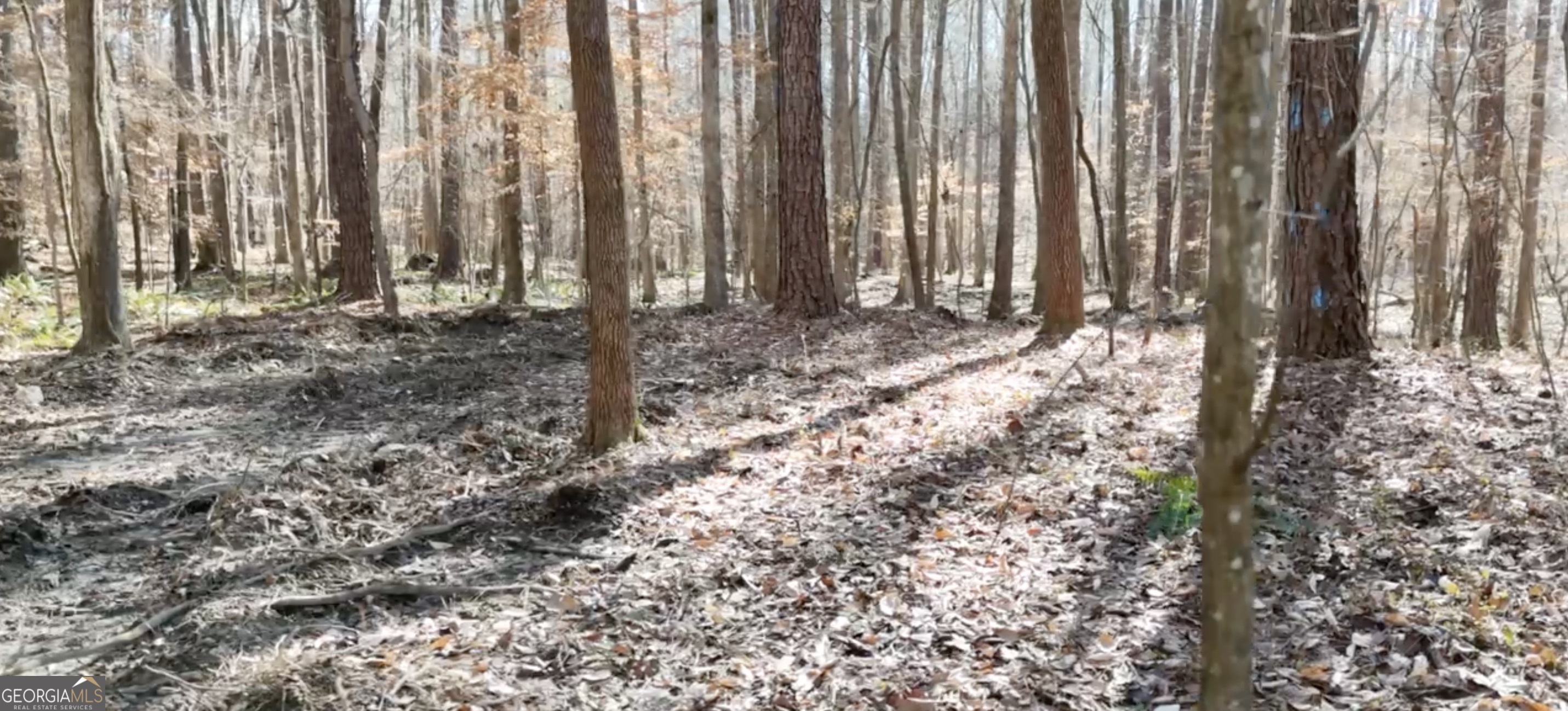 6137 Little Ridge Road, Unit LOT #3 Acworth, GA 30102 - Photo 10 of 39 a view of outdoor space with green space