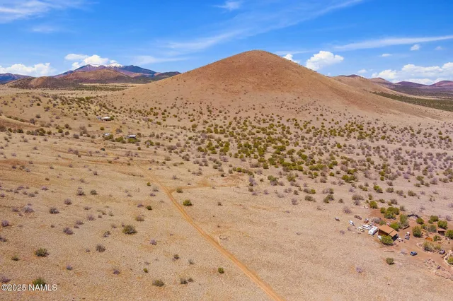 a view of a dry yard