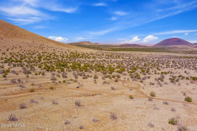 a view of a house with a mountain in the background