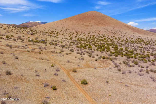 a view of a dry yard with mountains in the background