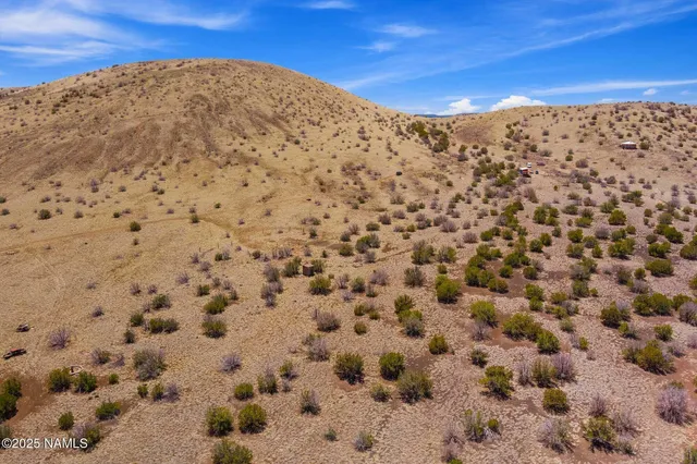 a view of a large building with a snow in the background