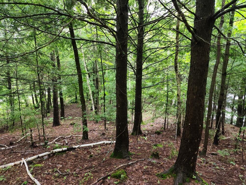 172 River Road Canton, ME 04221 - Photo 35 of 35 35