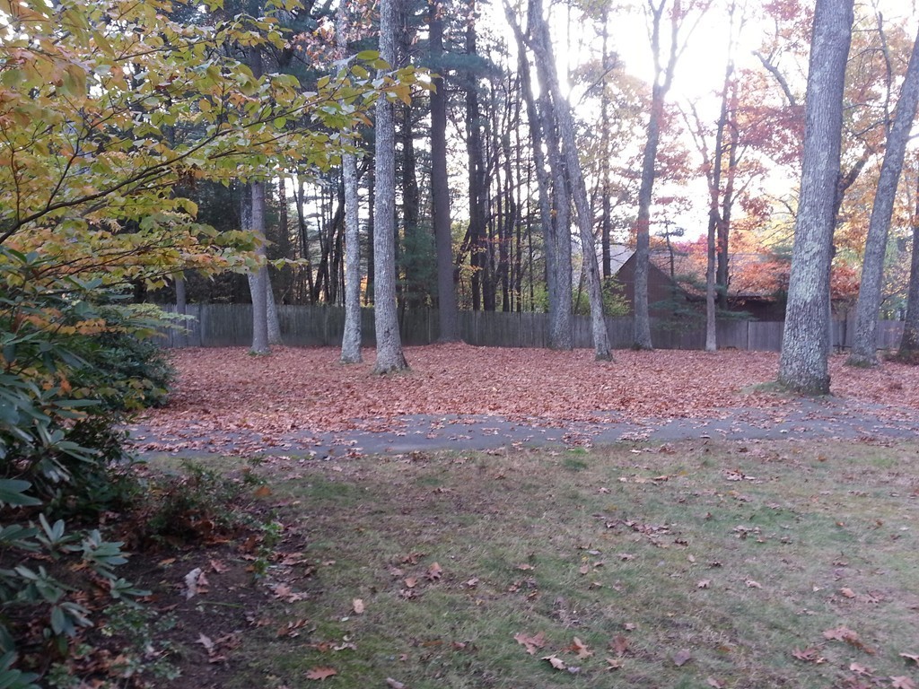 351 Belknap Road Framingham, MA 01701 - Photo 2 of 7 a backyard of a house with lots of green space