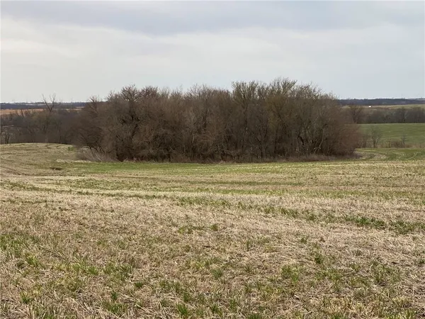 $283,050 | Tbd #3 Tbd Highway, King City, MO 64463