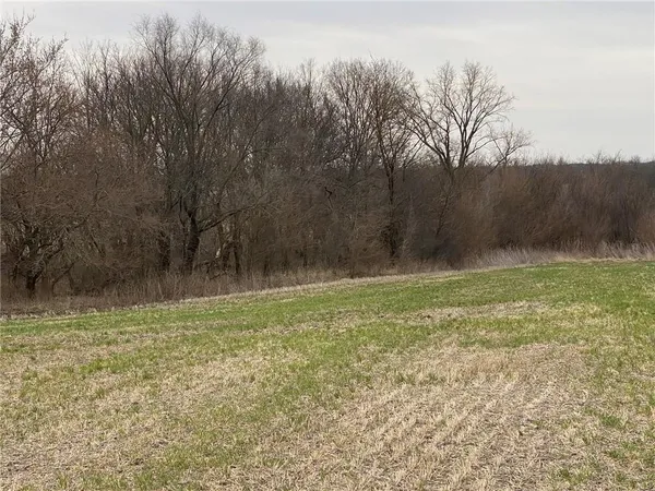 $283,050 | Tbd #3 Tbd Highway, King City, MO 64463