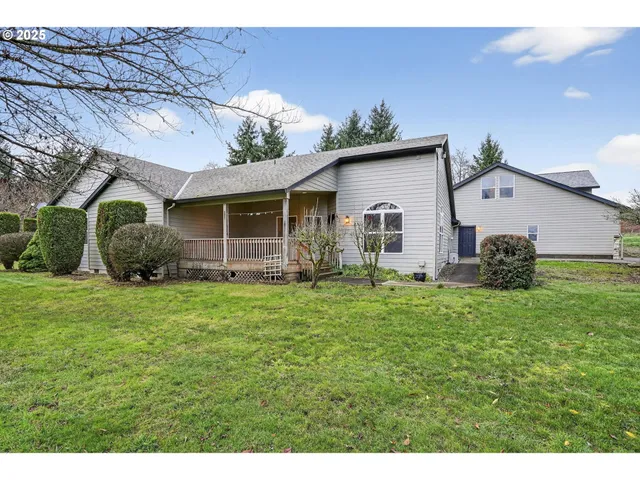 a view of a backyard with plants and large tree