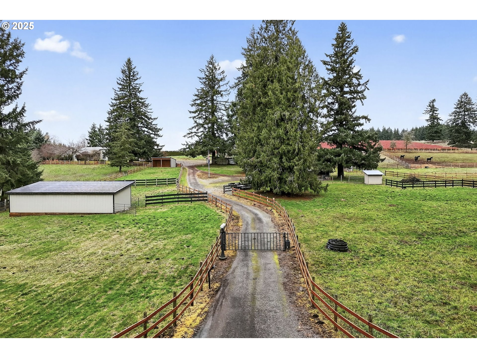 42101 Southeast Locksmith Lane Sandy, OR 97055 - Photo 2 of 48 a backyard of a house with lots of green space