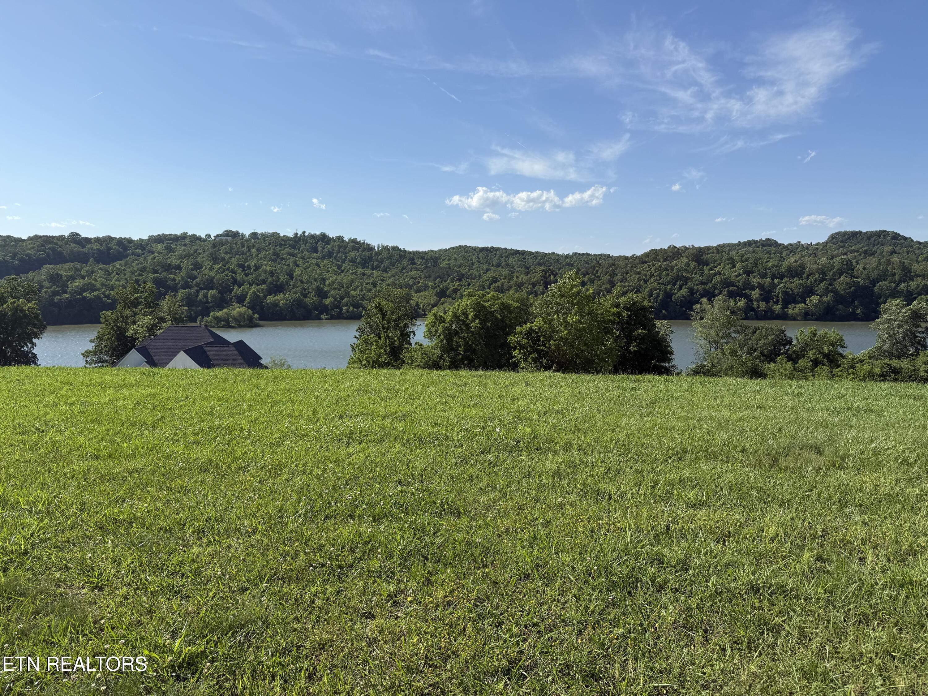 2533 Persimmon Ridge Loudon, TN 37774 - Photo 3 of 24 IMG_0800