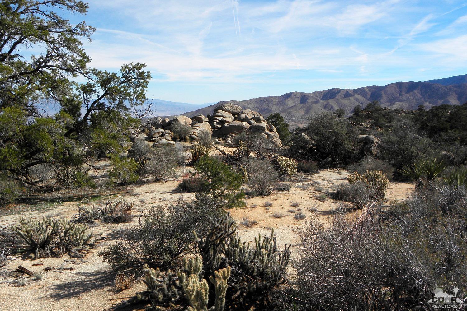 0 Lot Road Mountain Center, CA 92561 - Photo 2 of 15 OLYMPUS DIGITAL CAMERA