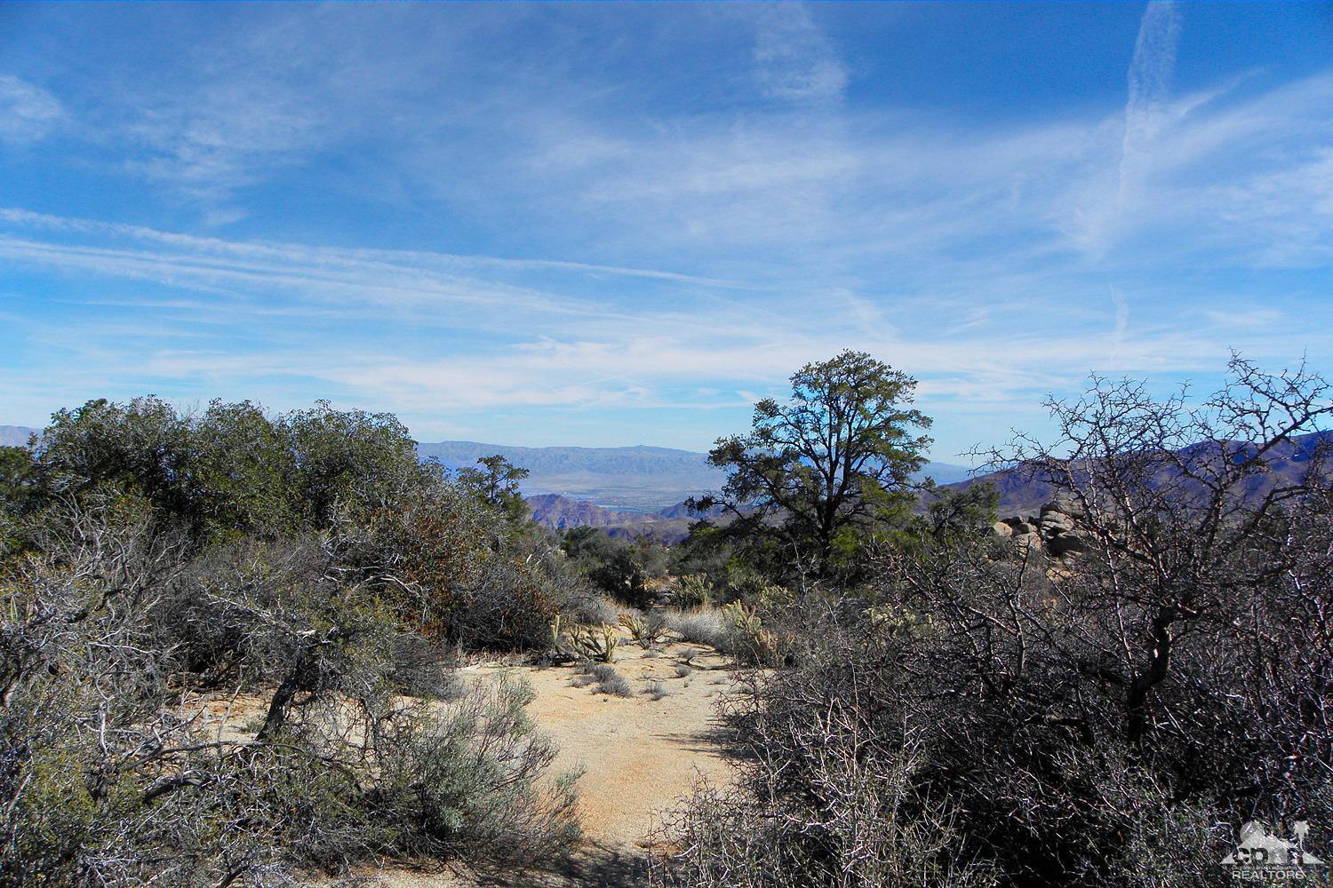 0 Lot Road Mountain Center, CA 92561 - Photo 6 of 15 OLYMPUS DIGITAL CAMERA