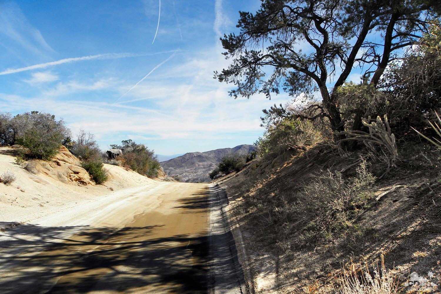 0 Lot Road Mountain Center, CA 92561 - Photo 8 of 15 OLYMPUS DIGITAL CAMERA