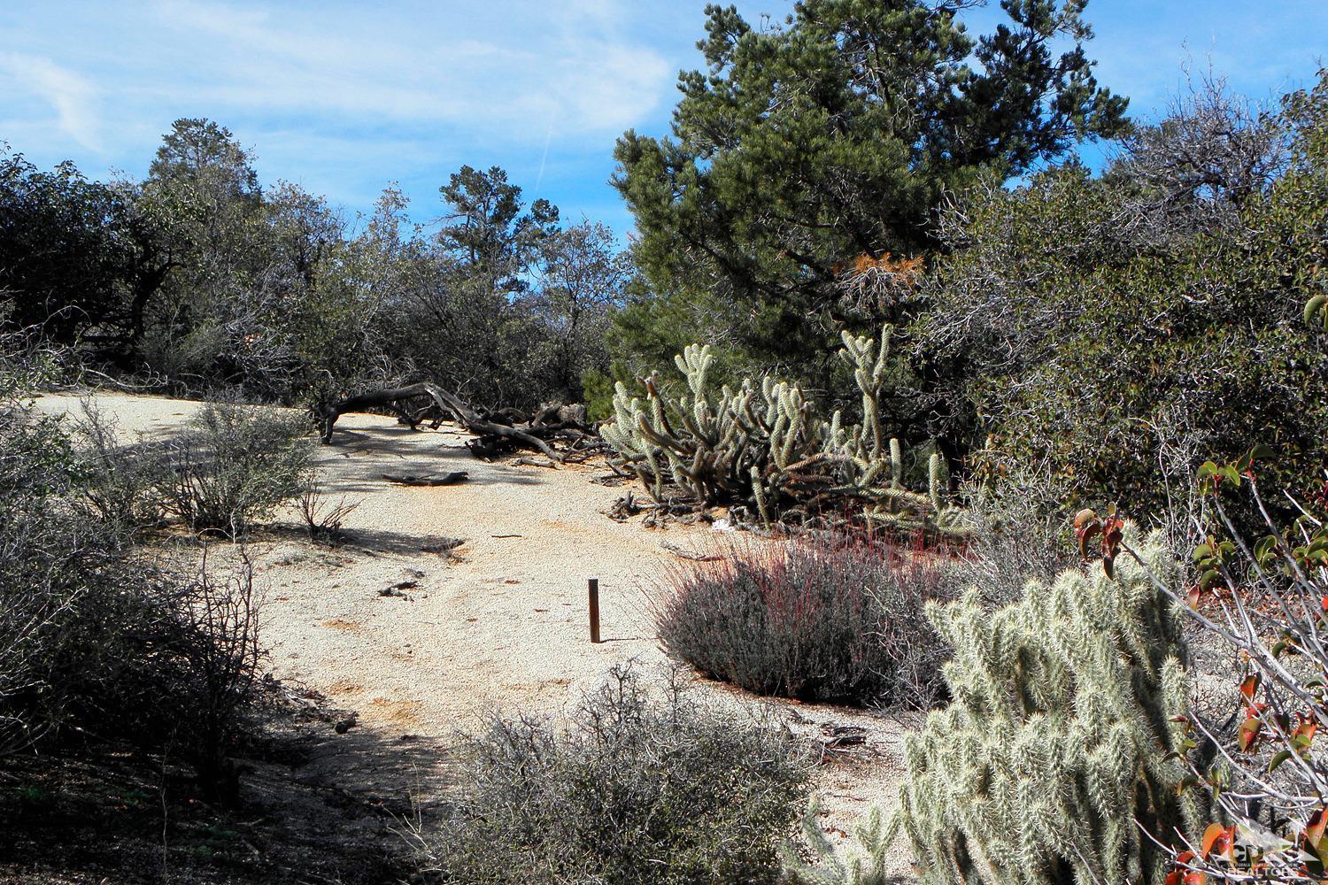 0 Lot Road Mountain Center, CA 92561 - Photo 10 of 15 OLYMPUS DIGITAL CAMERA