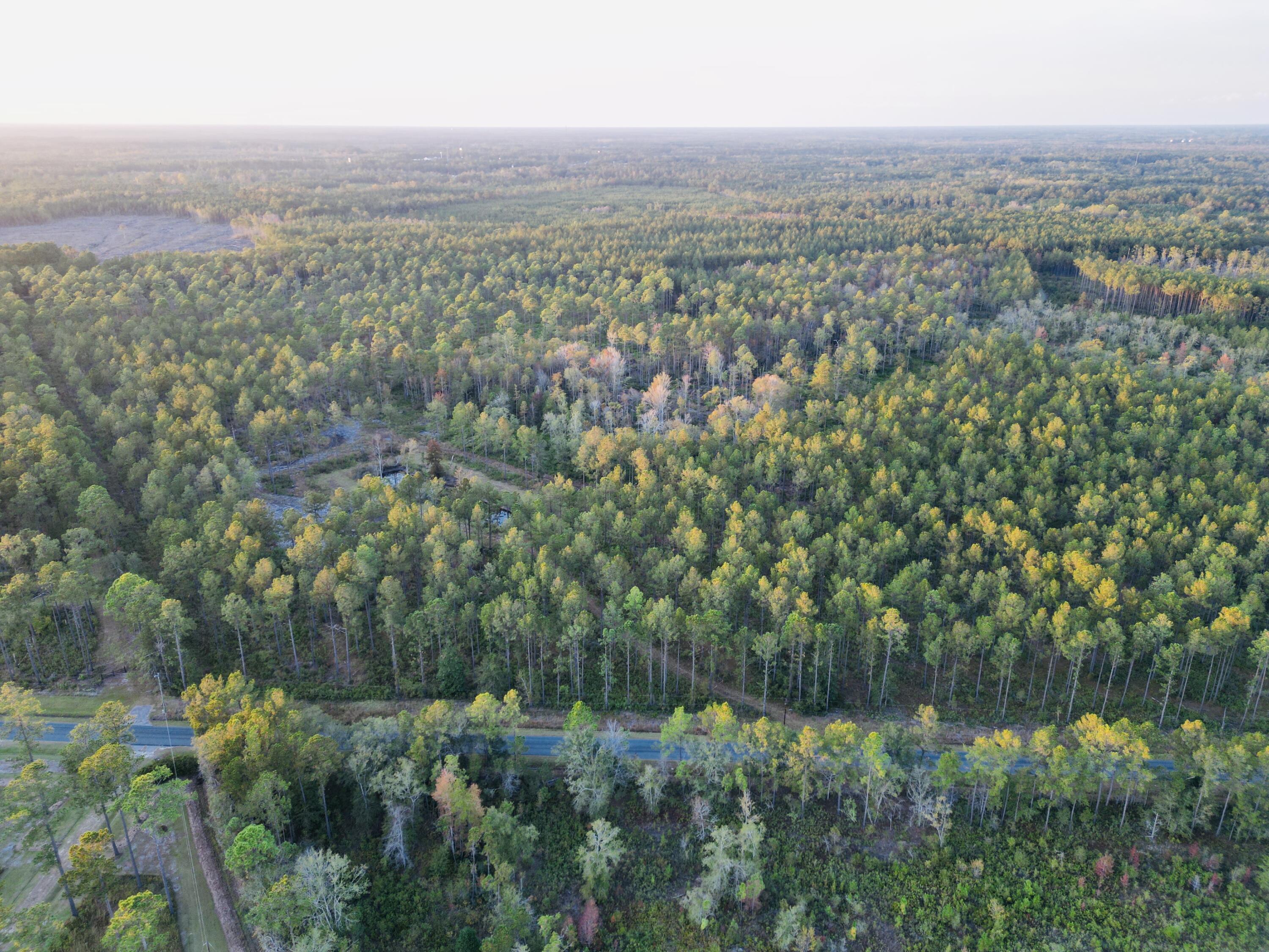 0 Peniel Road Walterboro, SC 29488 - Photo 5 of 15 18