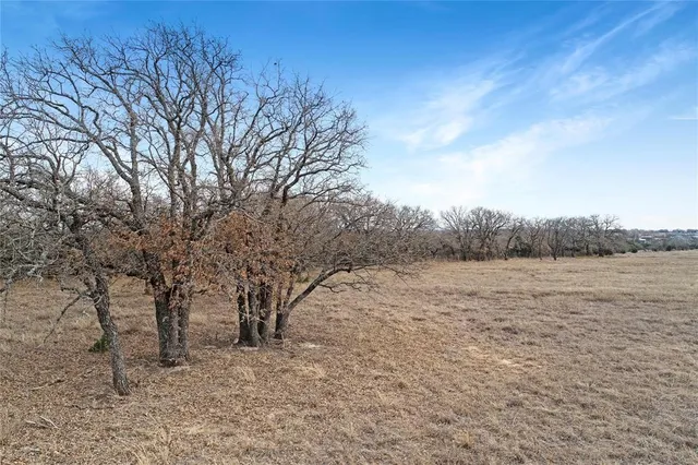 a view of mountain view with large trees