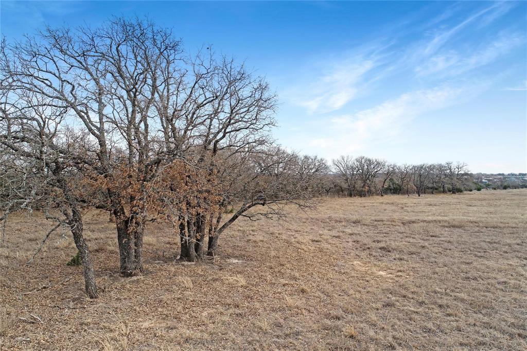 2655 Bounty Road Perrin, TX 76486 - Photo 13 of 27 a view of mountain view with large trees