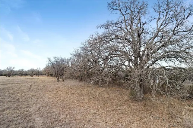 a view of a field with trees in the background