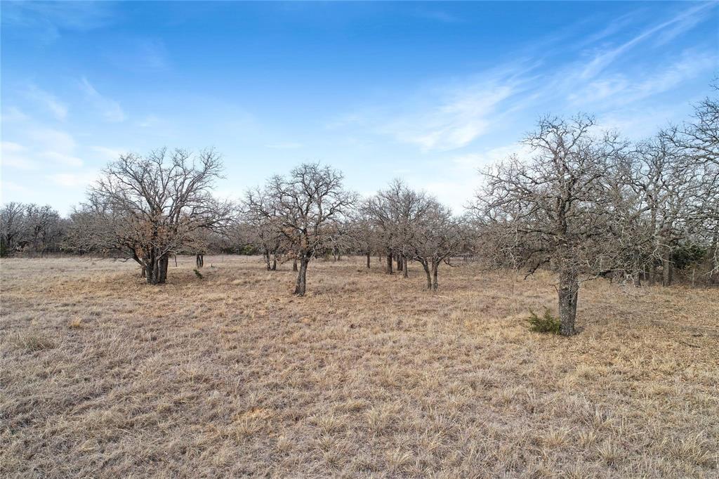 2655 Bounty Road Perrin, TX 76486 - Photo 9 of 27 a backyard of a house with large trees and outdoor space