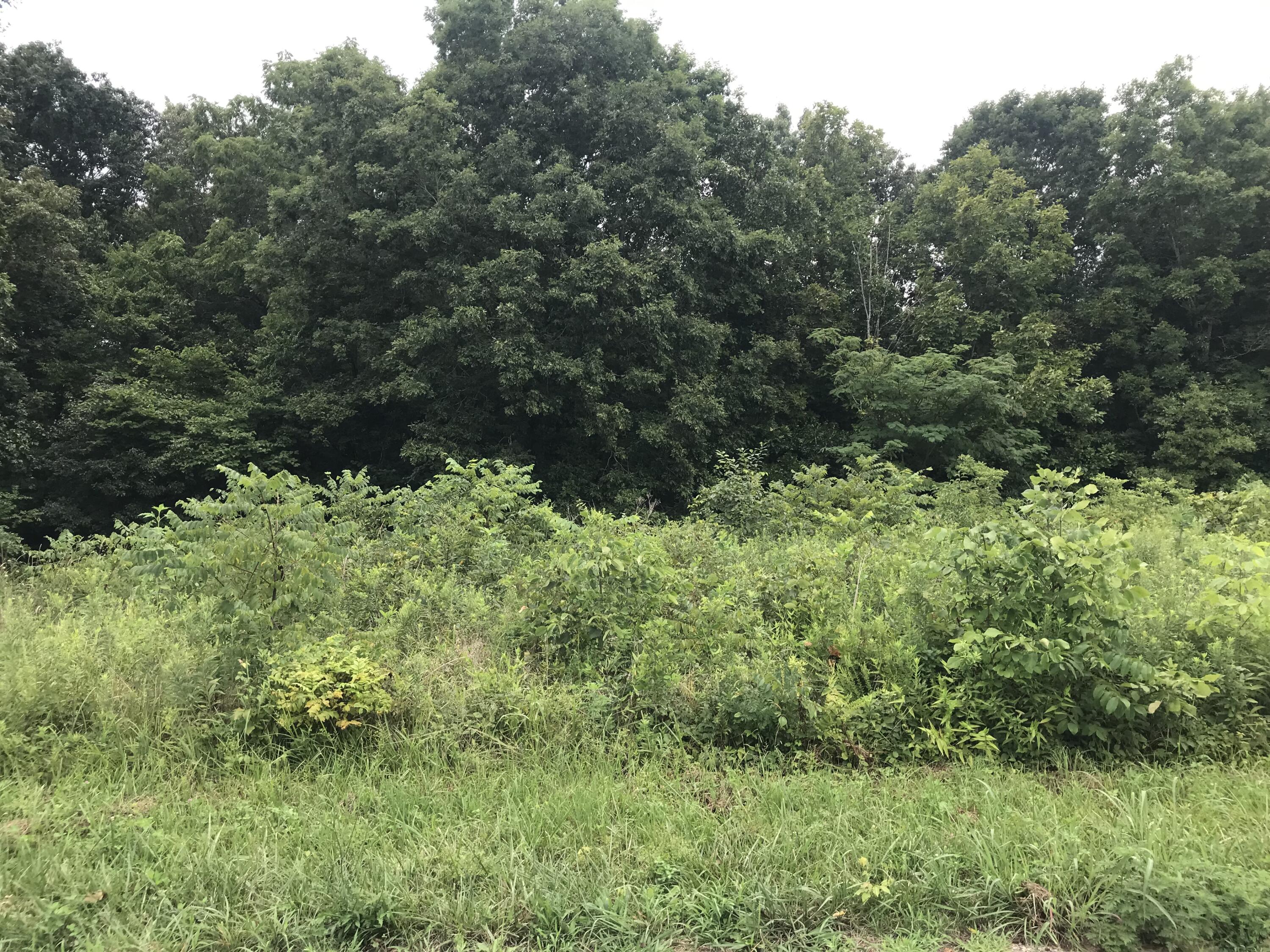 0 Billy Bible Road, Unit E44AC Greeneville, TN 37745 - Photo 11 of 26 IMG_1654