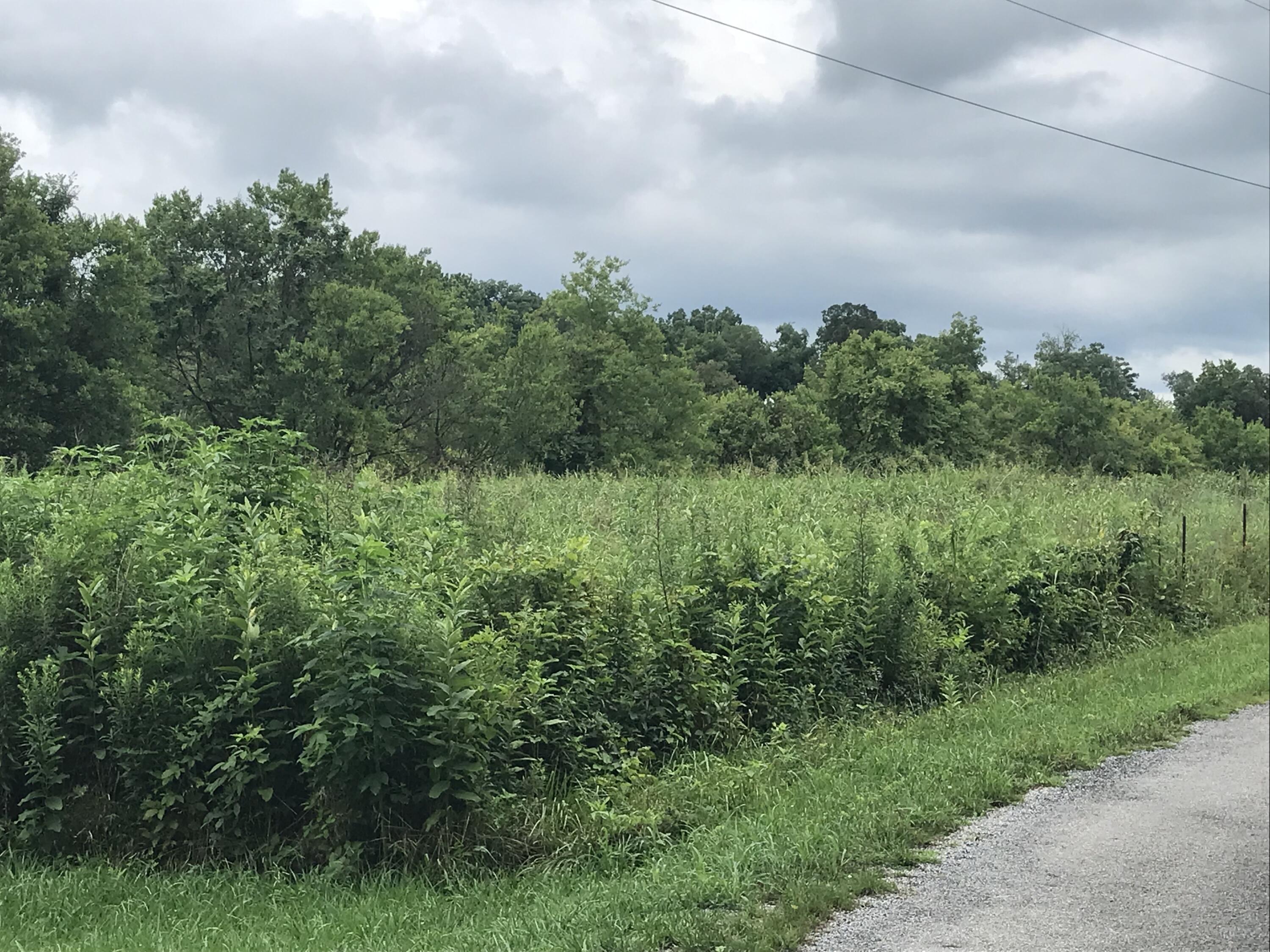 0 Billy Bible Road, Unit E44AC Greeneville, TN 37745 - Photo 16 of 26 IMG_1659