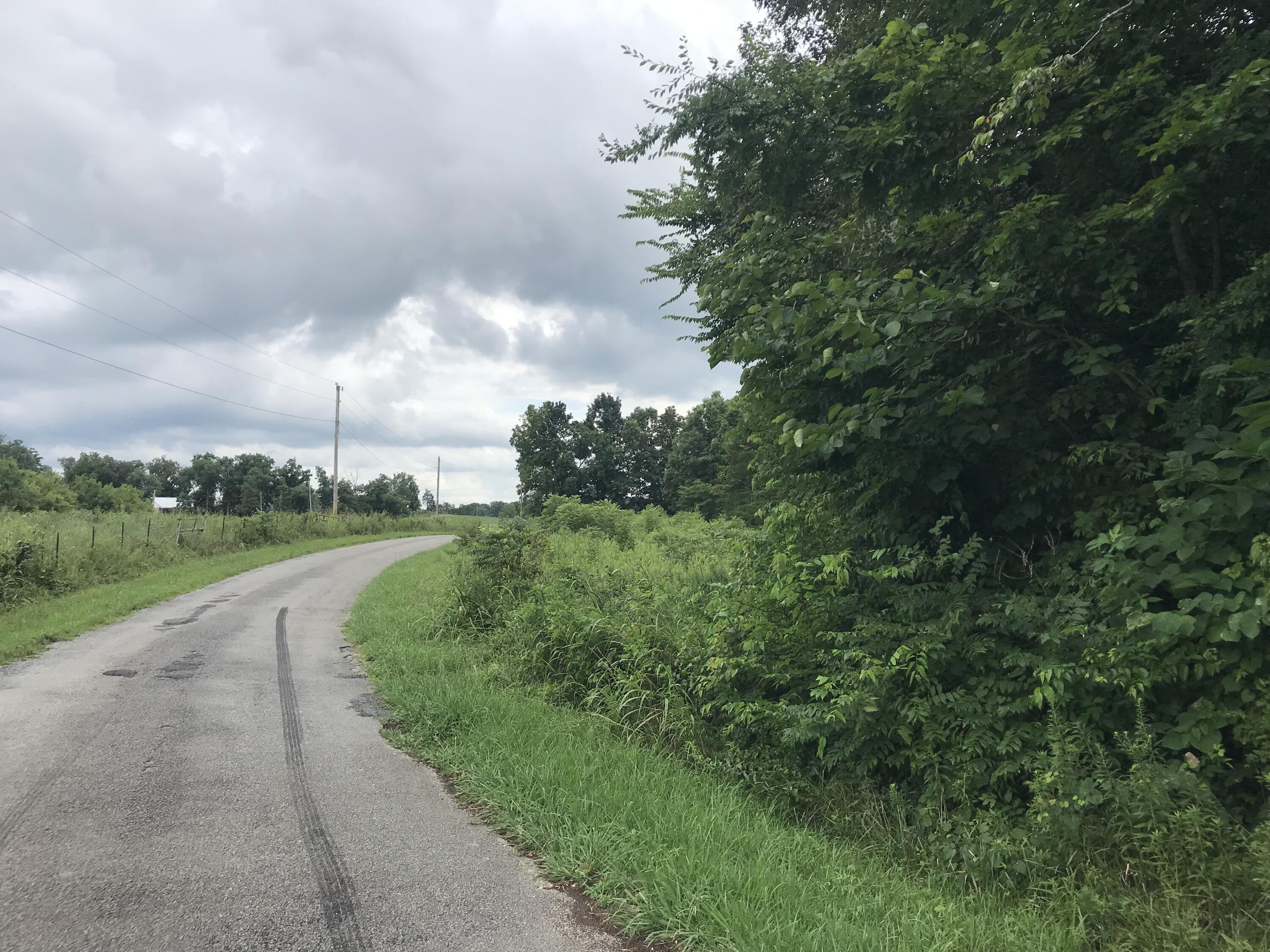 0 Billy Bible Road, Unit E44AC Greeneville, TN 37745 - Photo 19 of 26 IMG_1662