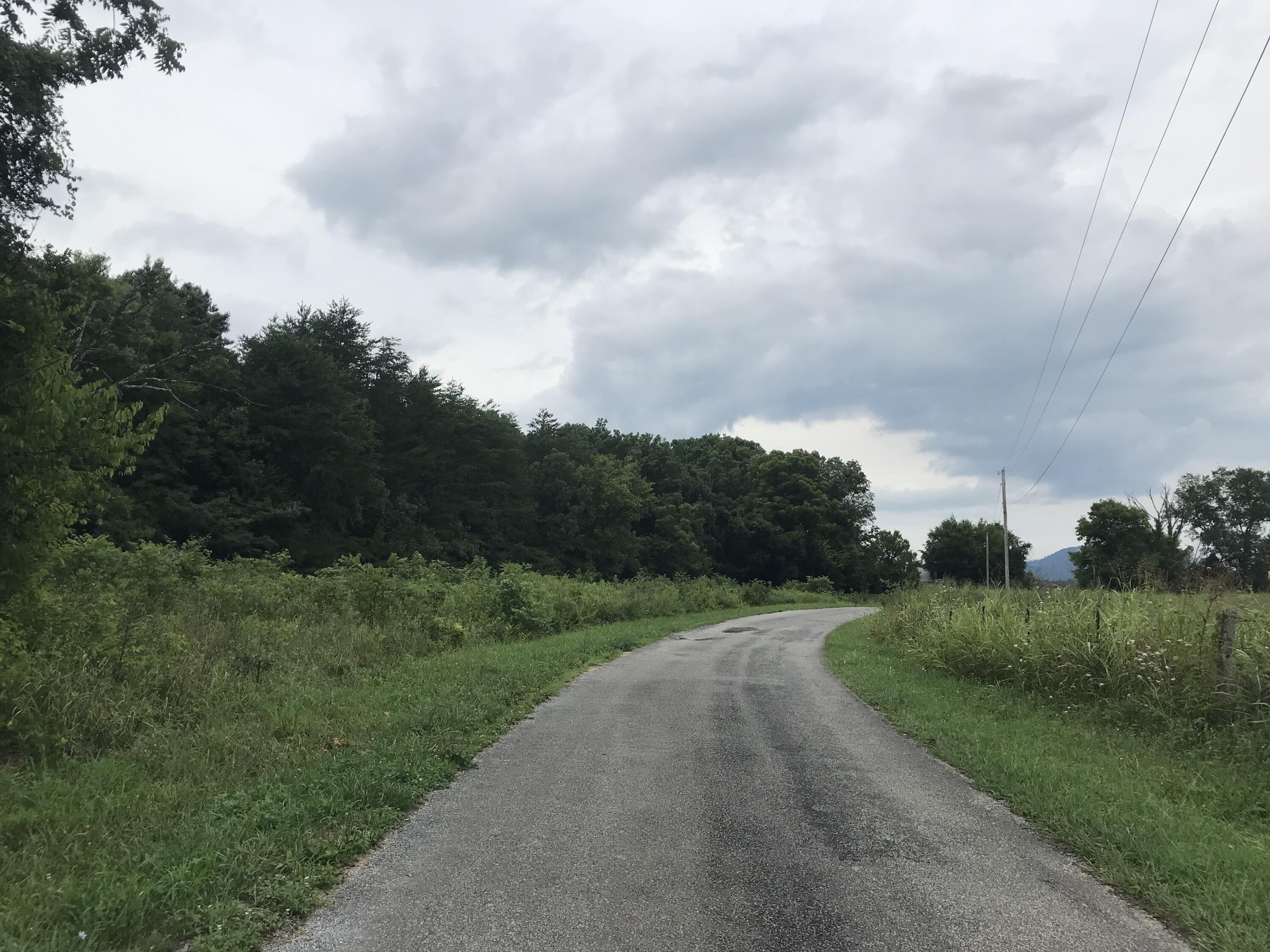 0 Billy Bible Road, Unit E44AC Greeneville, TN 37745 - Photo 4 of 26 IMG_1646