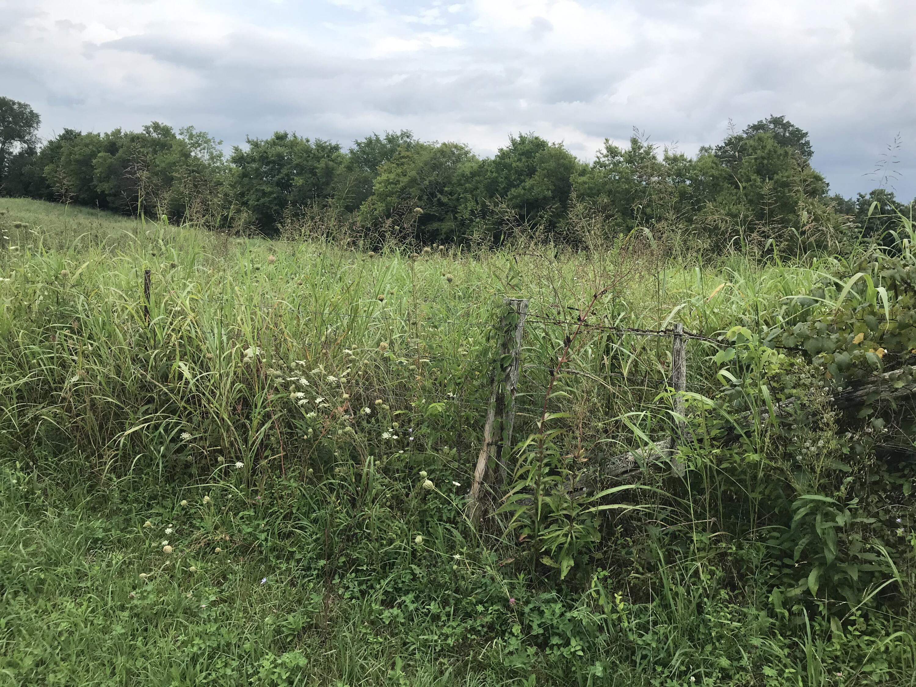 0 Billy Bible Road, Unit E44AC Greeneville, TN 37745 - Photo 7 of 26 IMG_1649