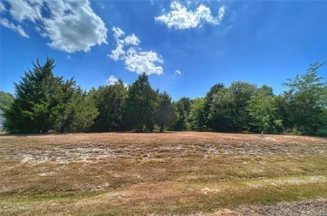 185 Cobalt Cove Corsicana, TX 75109 - Photo 8 of 10 a view of an ocean with a big yard