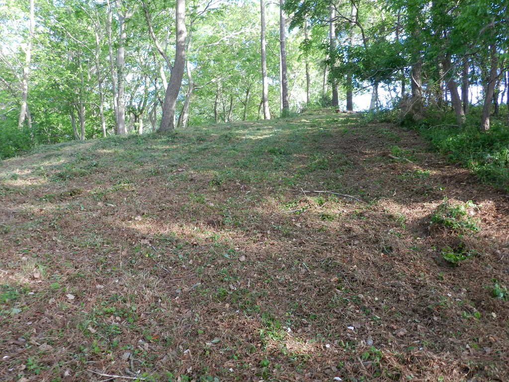 Lot1 Miles Wharf Road, Unit 1 Exmore, VA 23350 - Photo 28 of 33