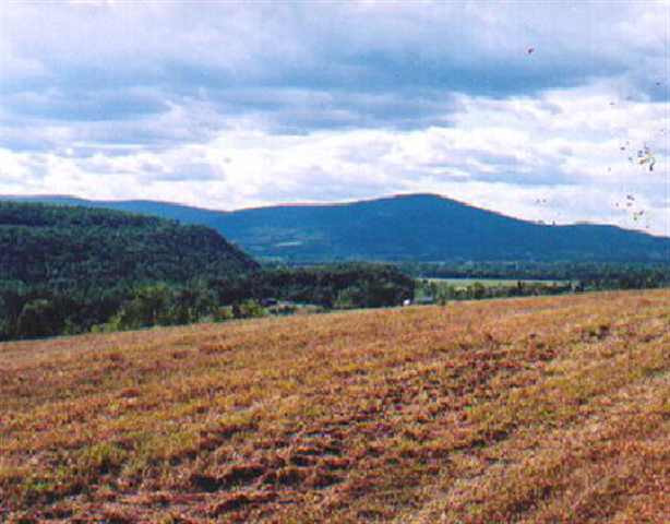 139 Gridley Road Middleburgh, NY 12122 - Photo 3 of 10 Photo 3